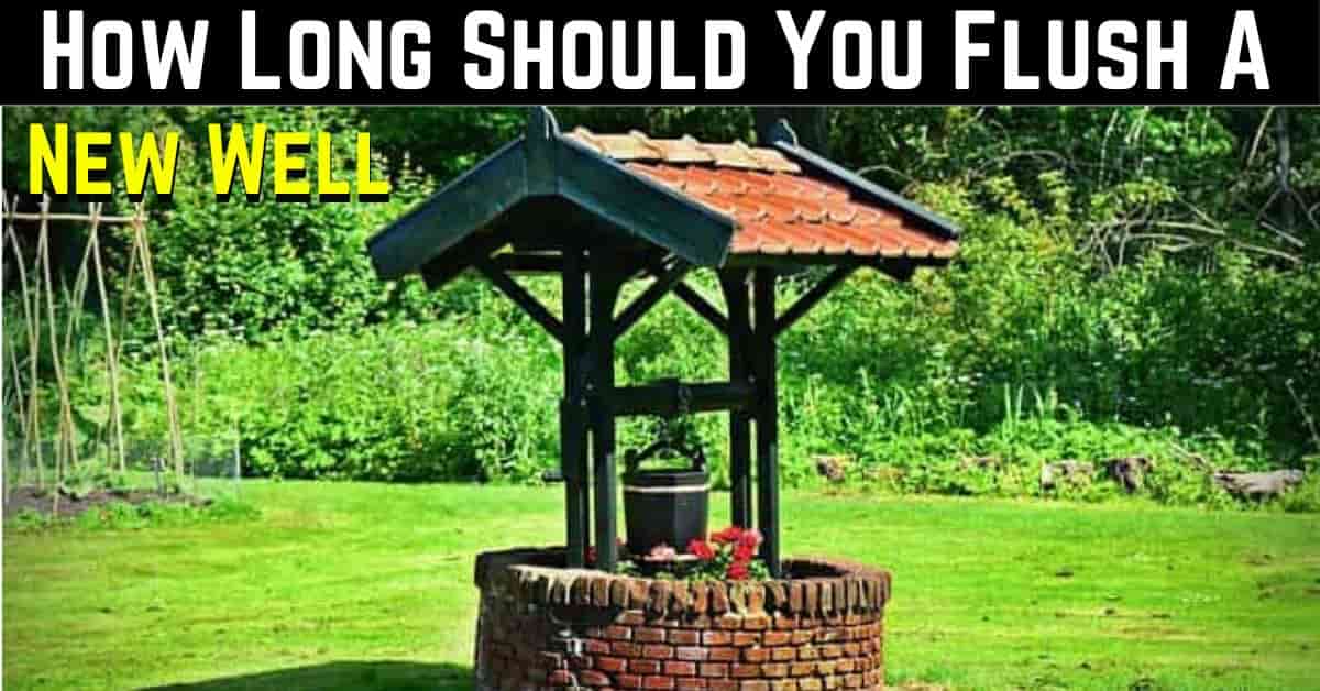 how long should you flush a new well