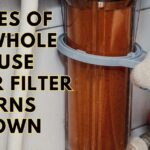 Causes of My Whole House Water Filter Turns Brown