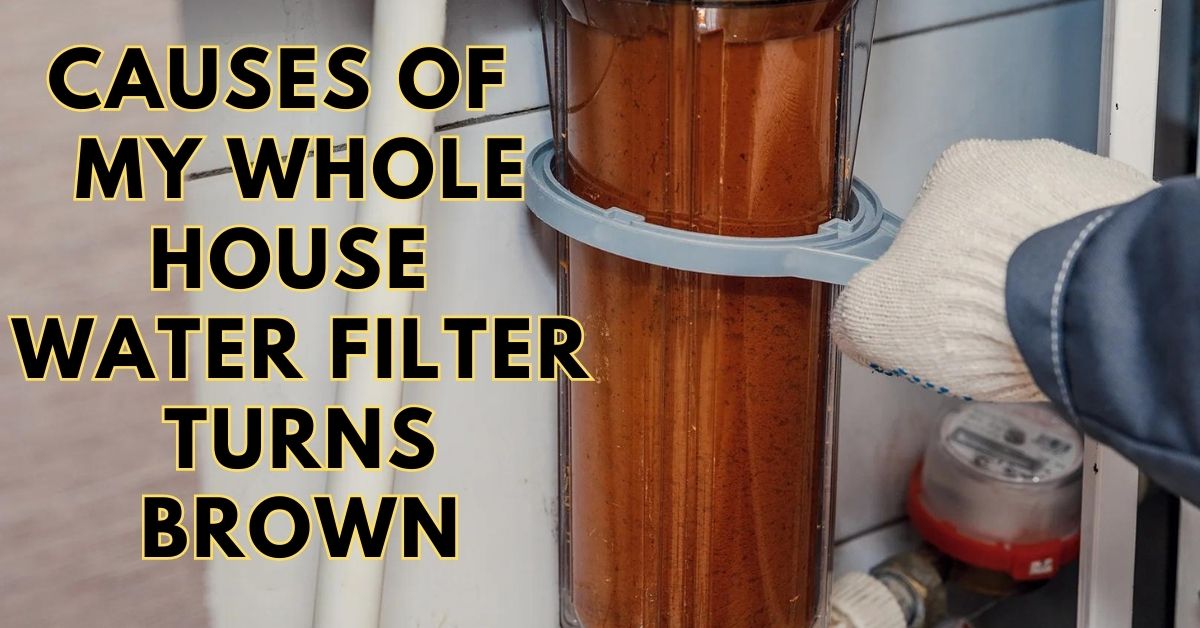 Causes of My Whole House Water Filter Turns Brown